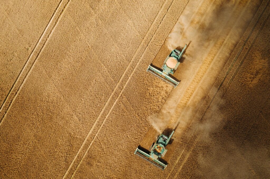 Drone view of two combine harvesters working in a golden wheat field during harvest season. Modern agriculture. Small Robot Company: the future of farming