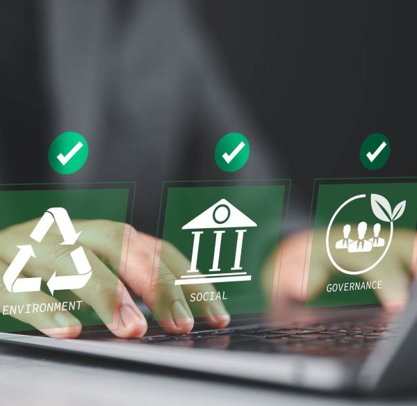 Software development consultancy - public sector card with environment, social, and government icons